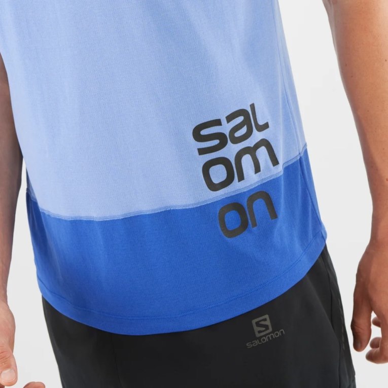Camiseta Salomon Cross Run Estampados Corta Sleeve Hombre Azules | MX JNOX715
